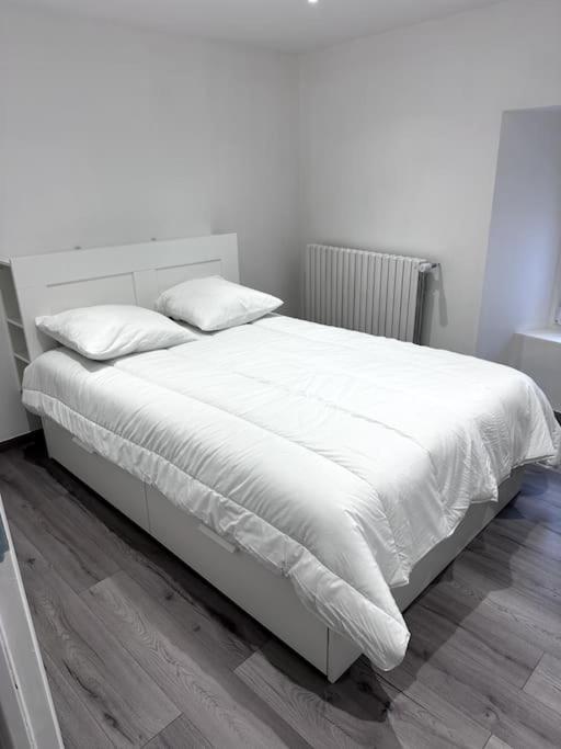 Bourgoin-Jallieu Appartement T4 En Hyper-Centre מראה חיצוני תמונה